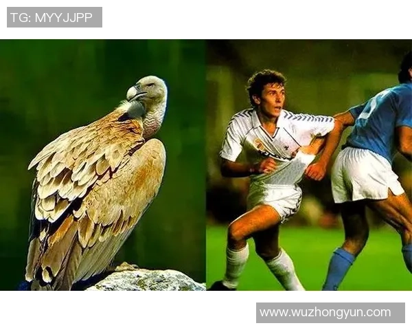 足球球星背后代表号的故事与象征意义探析